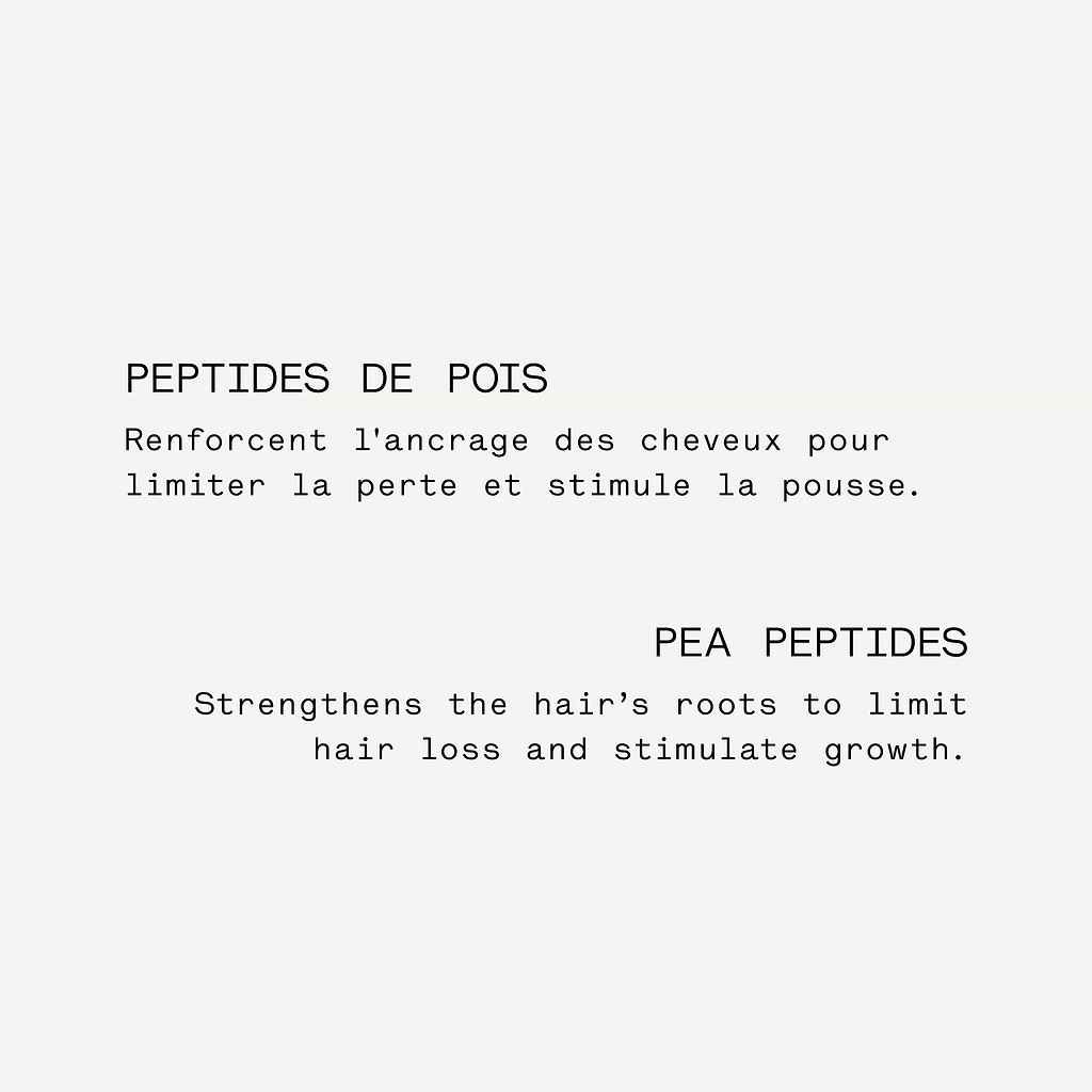 typology-traitement-cuir-chevelu-densifiant-peptides-2-extrait-de-gingembre image 4
