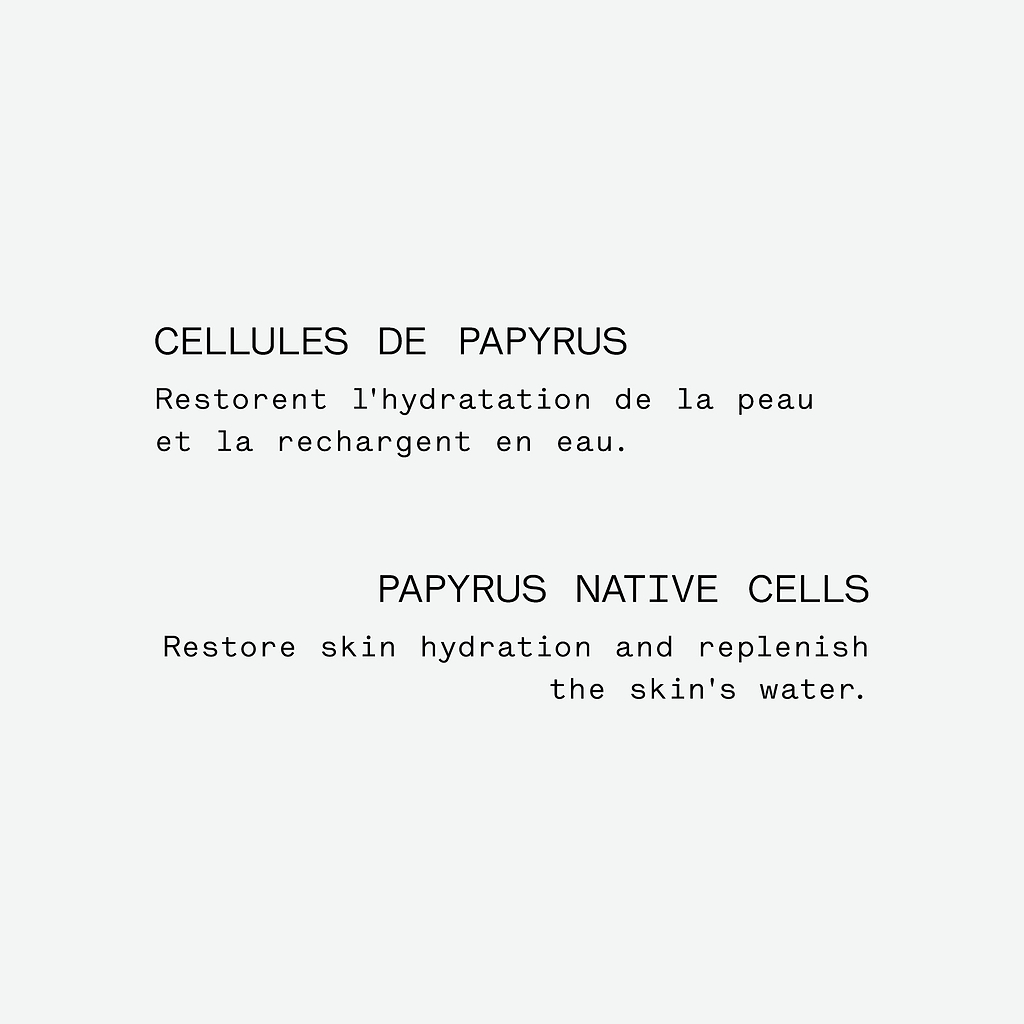 typology-assemblage-botanique-hydratant-au-papyrus-s-rum-de-nuit-visage image 5