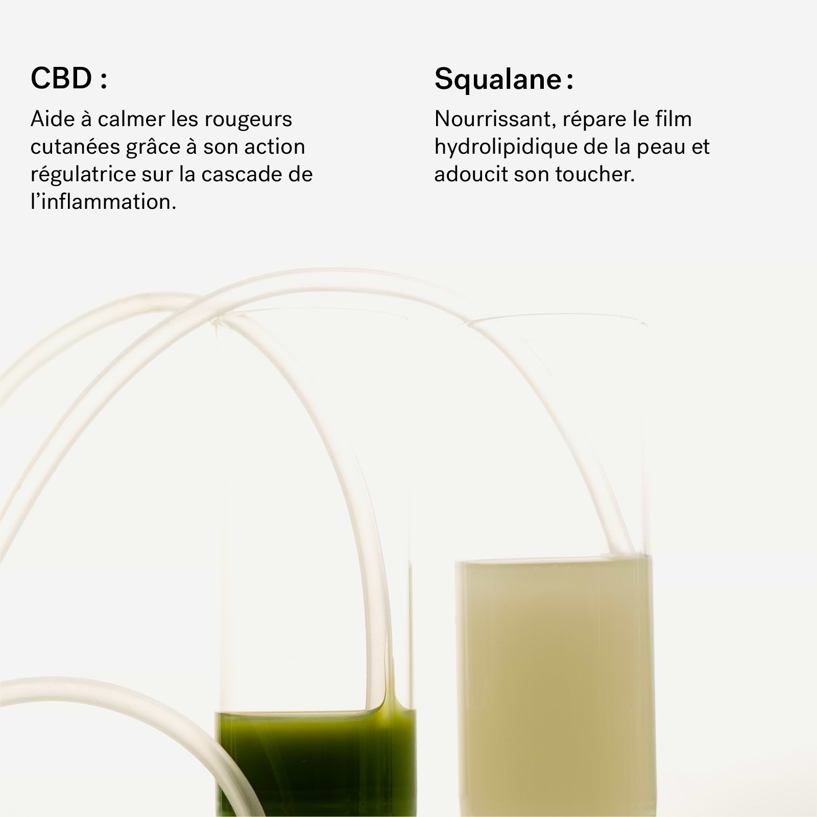 typology-masque-pommade-peaux-sensibles-au-cbd-240-mg image 7