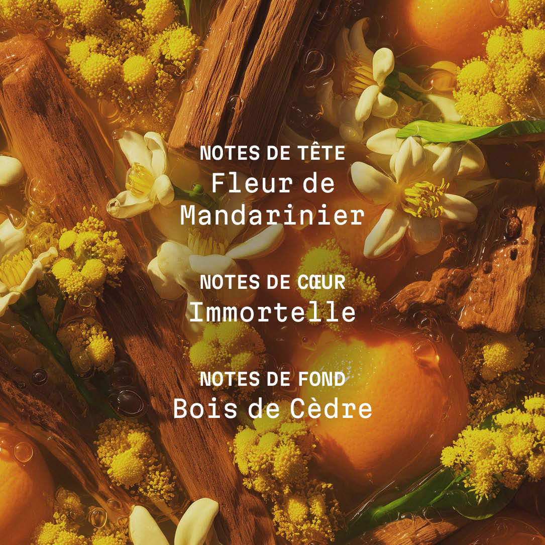 panier-des-sens-cr-me-corps-parfum-e-bois-de-la-sierra-150ml image 3