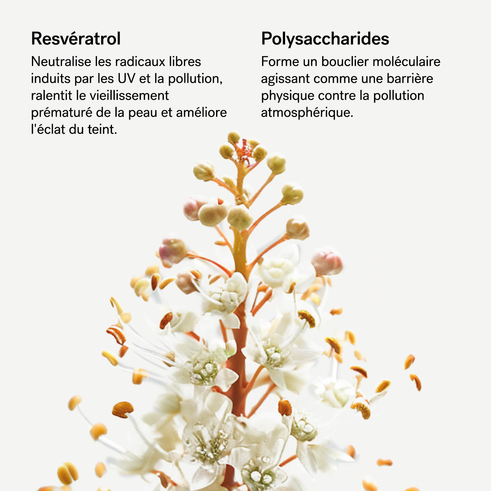 typology-s-rum-protecteur-urbain-spf30-resv-ratrol-1-polysaccharides image 6
