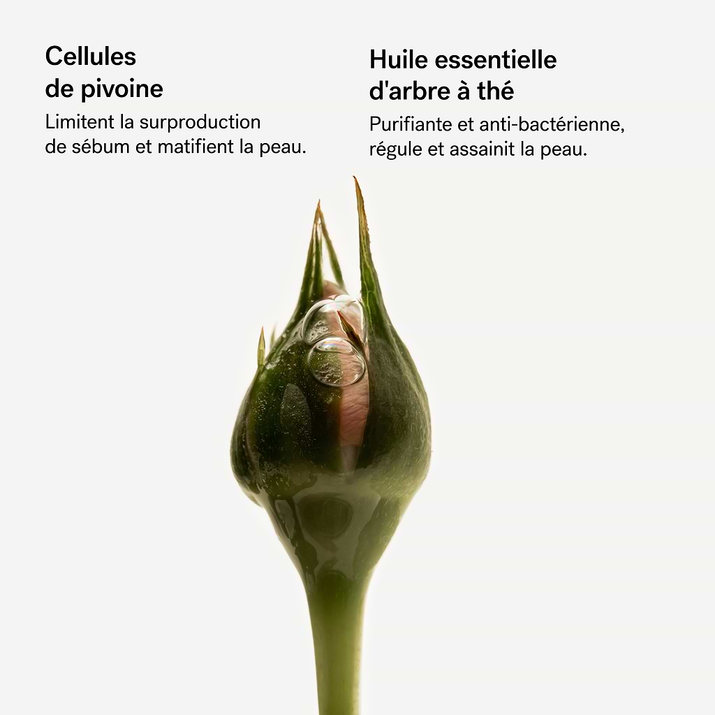 typology-assemblage-botanique-purifiant-cellules-de-pivoine-s-rum-nuit image 5