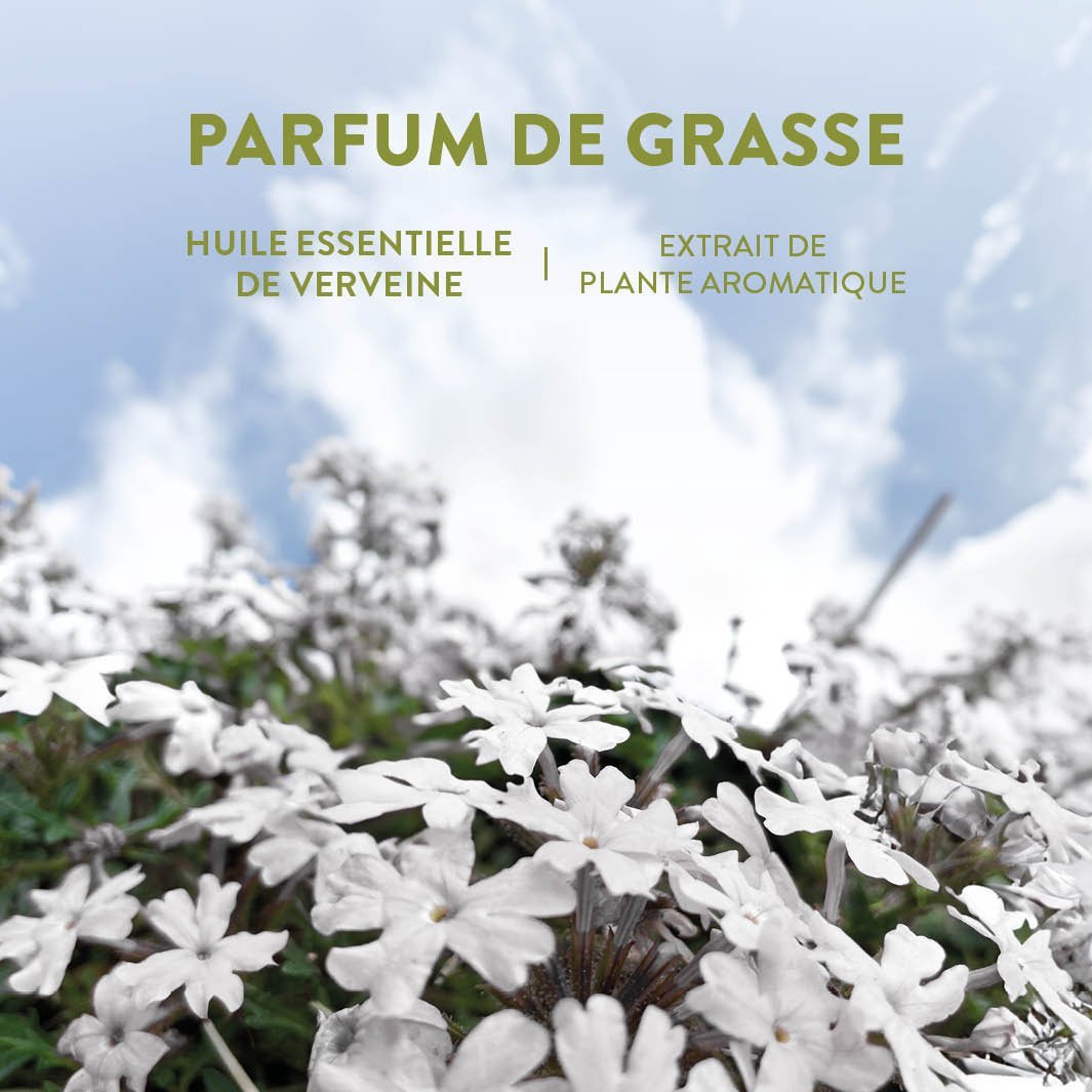 panier-des-sens-eau-de-toilette-roll-on-verveine-10ml image 6