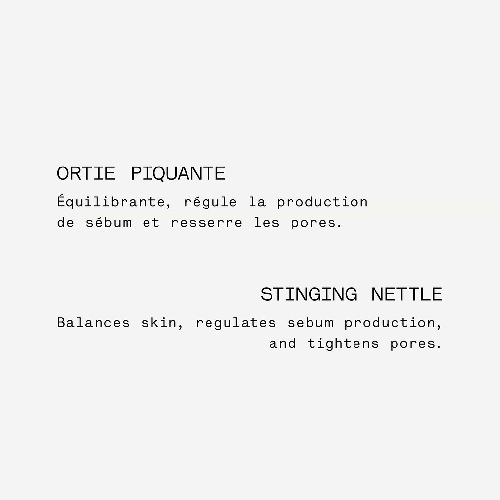 typology-masque-purifiant-charbon-ortie-bio-visage image 8