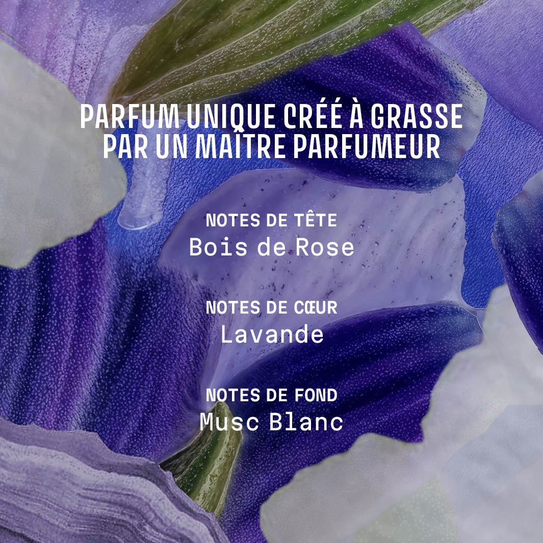panier-des-sens-eau-de-toilette-roll-on-lavande-iconique-10ml image 5