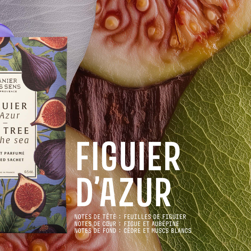 panier-des-sens-sachet-parfum-15g-figuier-d-azur-parfum-armoire image 3