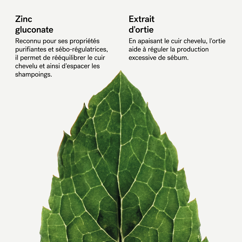 typology-shampoing-traitant-purifiant-zinc-gluconate-1-extrait-d-ortie image 7