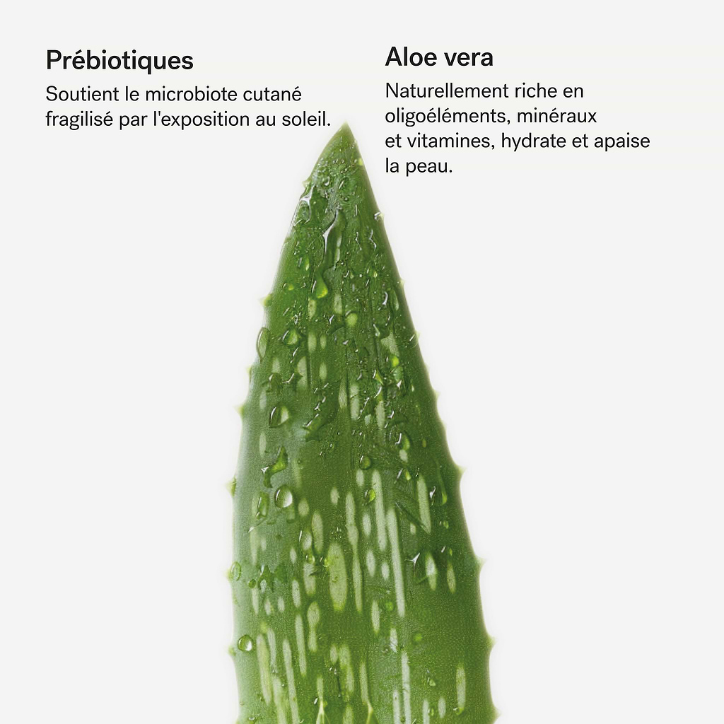 typology-mulsion-corps-apr-s-soleil-pr-biotiques-1-aloe-vera image 4