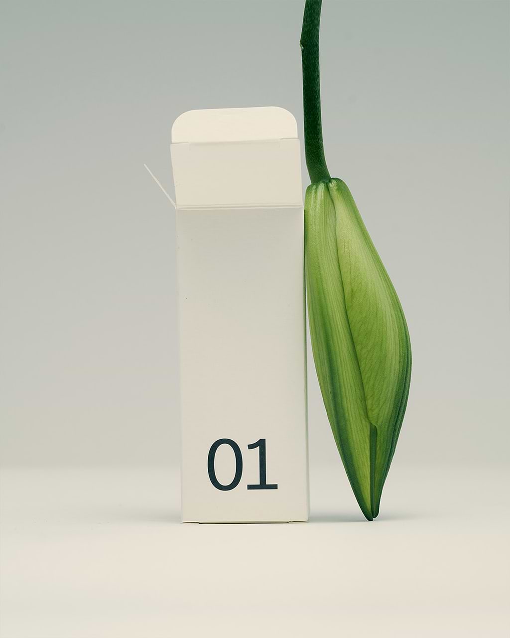 typology-calendrier-de-l-avent-2025-dition-limit-e image 5
