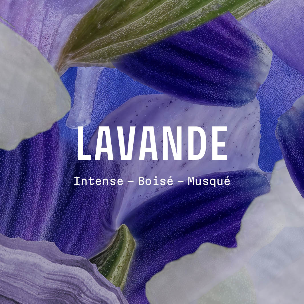panier-des-sens-lavande-iconique-huile-de-massage-relaxante-100ml image 5