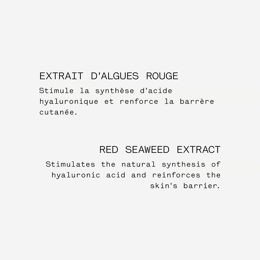 typology-s-rum-repulpant-acide-polyglutamique-3-extrait-d-algue-rouge image 7