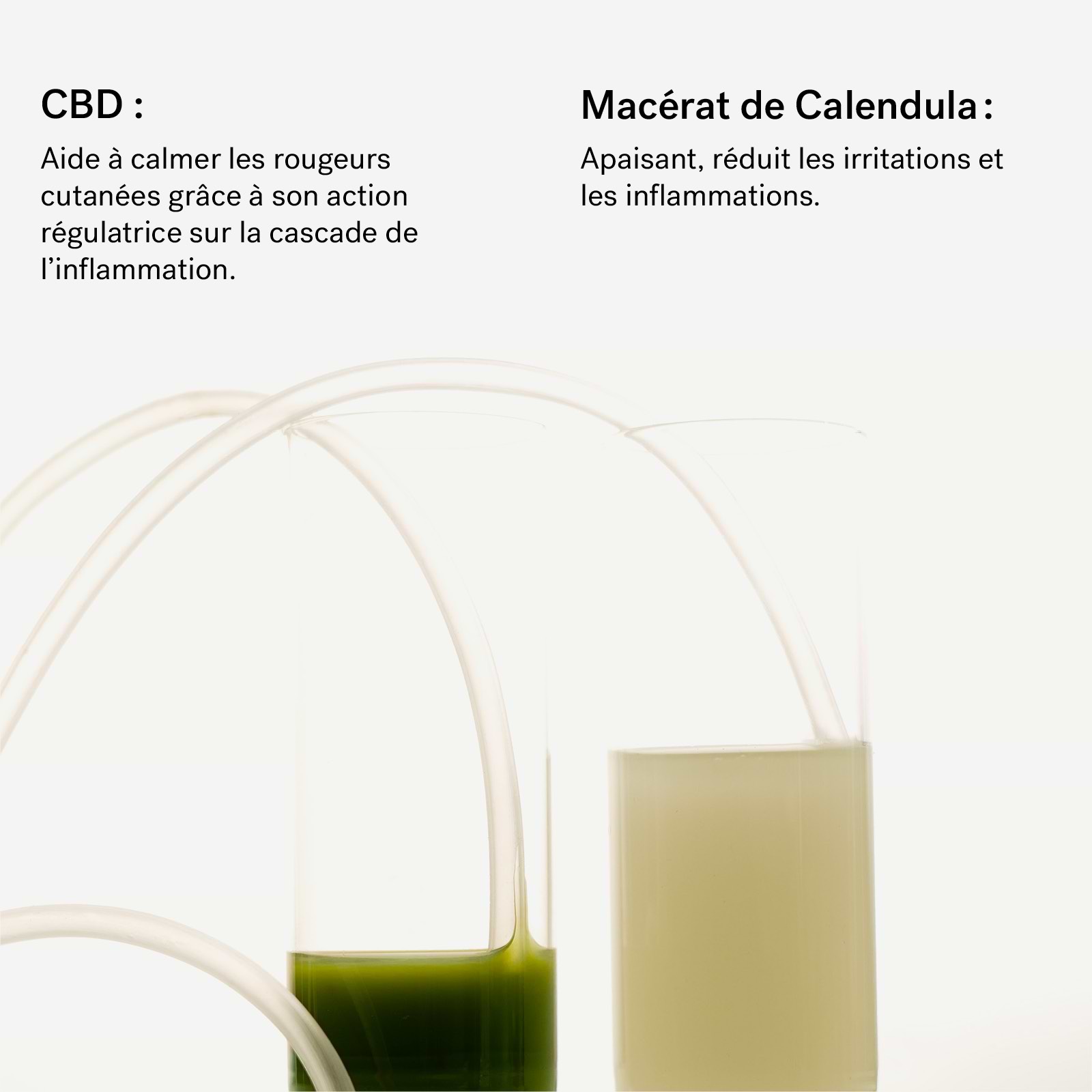 typology-assemblage-botanique-peaux-sensibles-huile-de-nuit-au-cbd-650-mg image 5